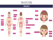 フェレザ 新潟(Felleza)/痩身/美顔、施術可能部位
