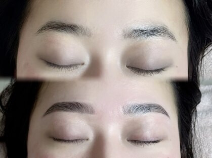 ガーベラ(Garbere)の写真
