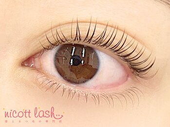 ニコットラッシュ 京橋店(nicott lash)/まつげパーマ［京橋・マツパ］