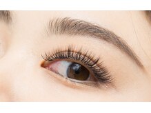 ラッシュスタイル 春日井店(Lash style)/シングルプラス上つけ放題