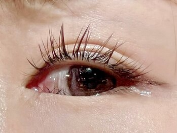 レミア 関内(REMIA)/8月　ダークブラウン