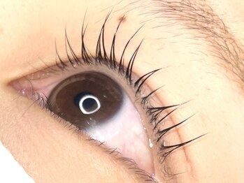 コボアイラッシュ(COVO.eyelash)/ラッシュリフト