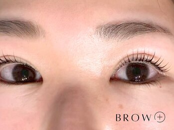 ブロウタス 川崎店(BROW+)/まつ毛パーマ