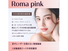 ヘアメイク エステサロン クラシカ(hairmake esthe salon clasika)の雰囲気（ローマピンク結果出ししています。Instagramご覧くださいませ。）