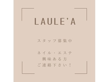 ラウレア(Laulea)の写真
