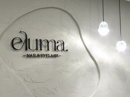 エルマ(eluma.)の写真