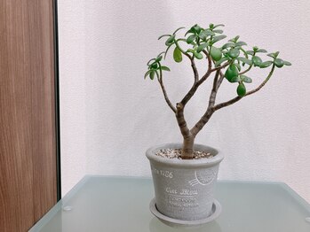 エクティブ整体院/green【春日市/整体/腰痛/骨盤】