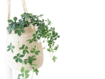 アガリア(agalia)/蔵前駅徒歩2分！完全都度払い！