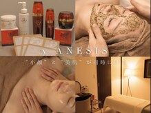 サロンワイアネシス(Salon y ANESIS)