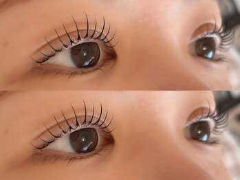 タビーリッタ(tabby litta)/ちゅるんまつげ:*+。