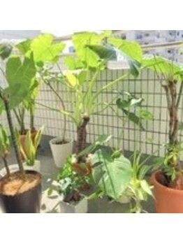 リム ビューティー(RYM BEAUTY)/観葉植物達の日光浴♪