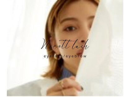 ニコット ラッシュ(nicott lash)の写真