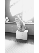 リカ/看板猫　ソラ