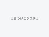 ↓↓ここから下は【マツエク】のクーポン↓↓