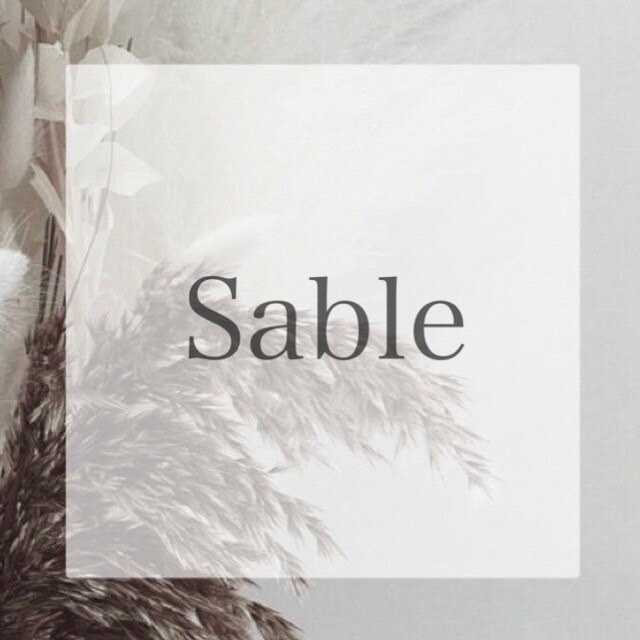 全員　プレミアムセーブル80本\4000  60分