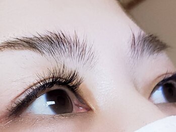 シェリー(CHERIE)/