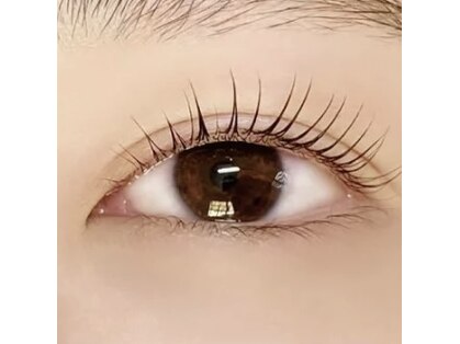 エクラアイラッシュ(eclat eyelash)の写真