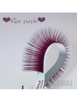 ハーゼ(Hase)/Ripe purple【Flat color】
