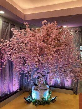 ヨサパーク グランス(YOSA PARK glans)/本社の桜☆