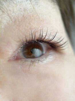 ムニ(muni)/LEDフラットラッシュ120本