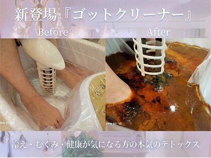 シャングリ ラ(Shangri La)の写真