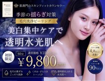ジュエリースキン(JewelrySkin)