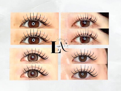 ラヴィリス(LAVILISS)の写真
