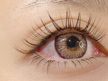 ザラボアングゥ(The Labo ungu)/【上下マツエク】