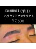 【新規限定】《平日》ハリウッドブロウリフト