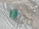 フットシンプルコース 8800円