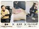 リボーン(REBORN)の写真