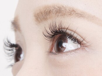 アイラッシュサロン ドール(Doll)/パッチリ目元