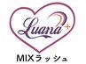 ☆新規☆MIXラッシュ(フラットラッシュ80本＋ボリューム60束)260本までオフ込