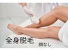 【導入キャンペーン】全身脱毛（VIO込み・顔なし） ¥14,300→¥12,000