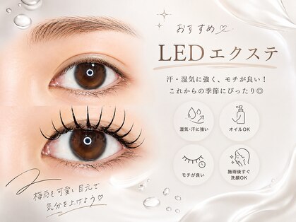 ラヴィリス(LAVILISS)の写真