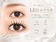 ラヴィリス(LAVILISS)の写真