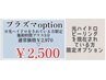 【再来限定】プラズマオプション※光ハイドロをされている方限定￥2,970→