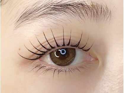 ニコプラス(nico+)の写真