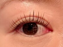 レミア 関内(REMIA)/8月　フラットラッシュ