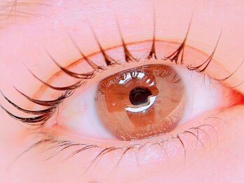 タイトプラス(tyto+)の写真/話題の韓国風束感まつげパーマも◎折れたまつげも丁寧に補修し、持ちの良いパーマで長く美しさをキープ♪