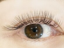 ローバー(ROVER)/