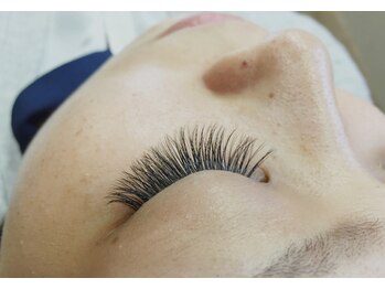 ディシェーレ アスト(die-Schere Ast)/ボリュームラッシュ500本