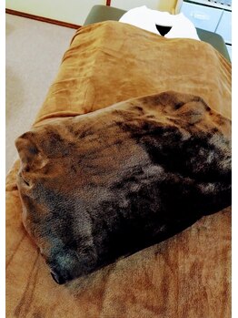 くつろぎ/もふもふ毛布♪