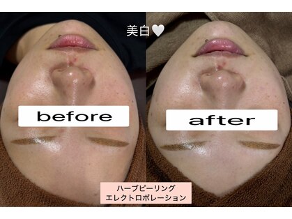 シロ(SHIRO)の写真