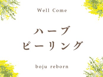 リボーン(boju reborn)/