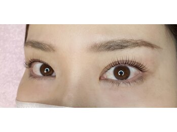 カメリア(Camellia)/ラッシュリフト