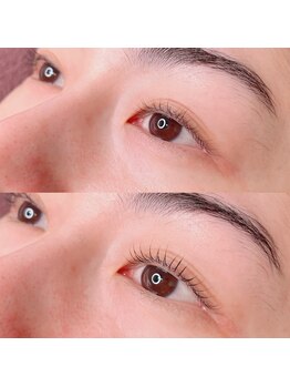 シピリカ(Shiprica.)/