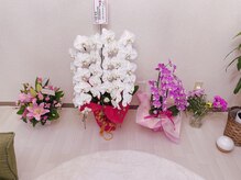 シャインクラフト/華やかなお花達