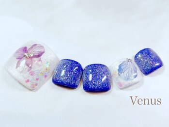 ビーナス(Venus)/紫陽花ギャラクシーマグネット