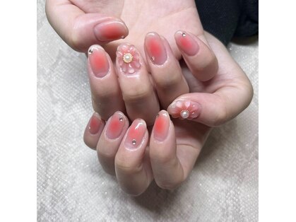 カンキ(Kanki)の写真